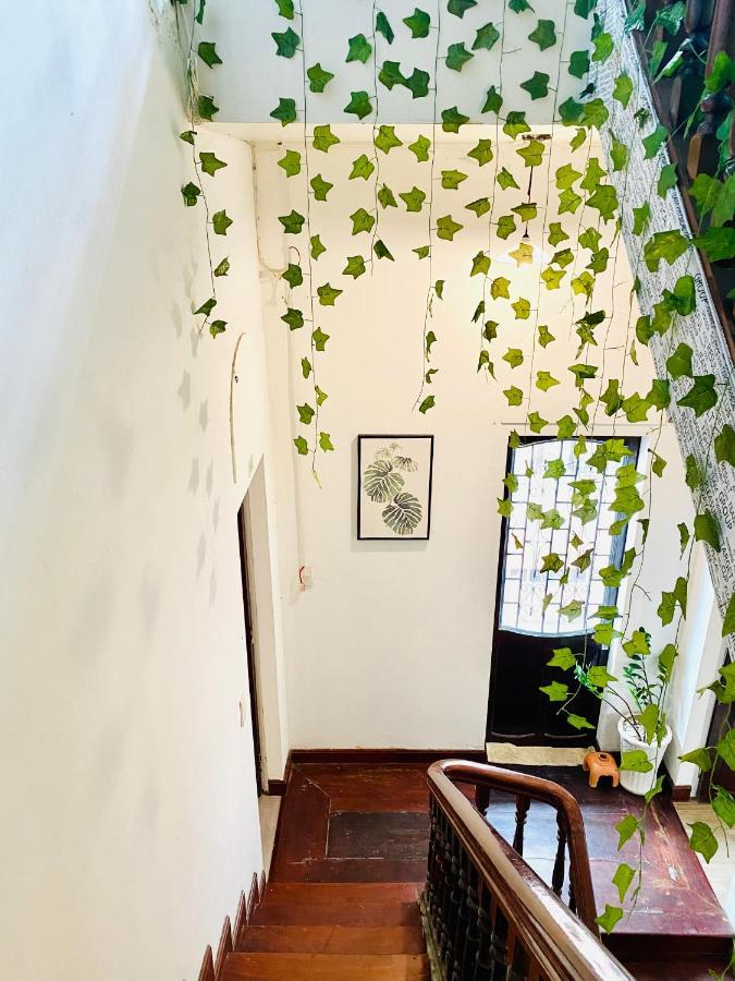 Tabi Homestay Hue Dış mekan fotoğraf